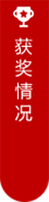 获奖情况